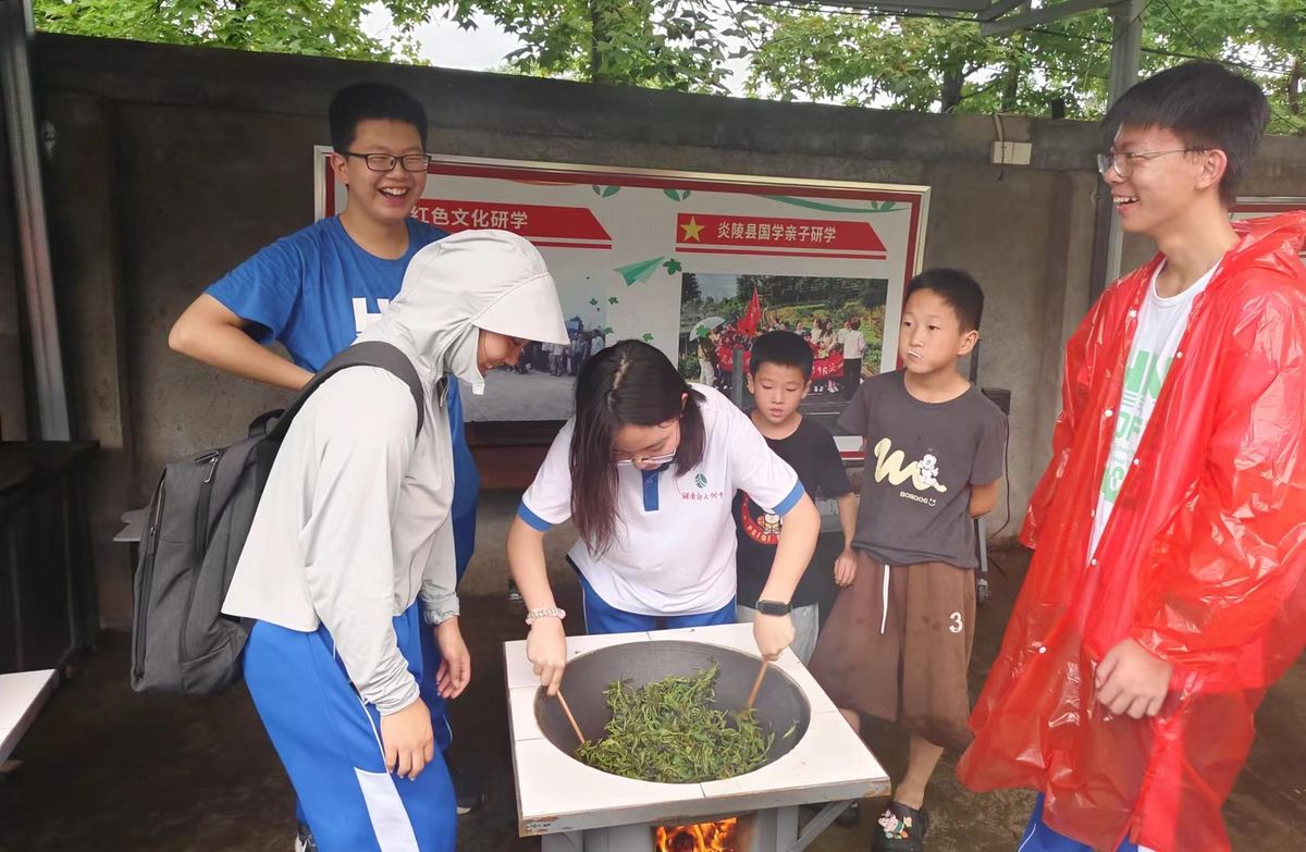 茶园研学