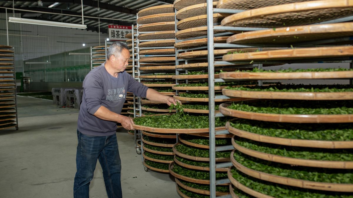 非遗制茶工坊
