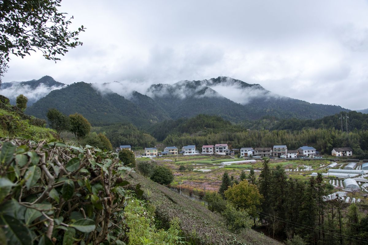 茶山梯田全景